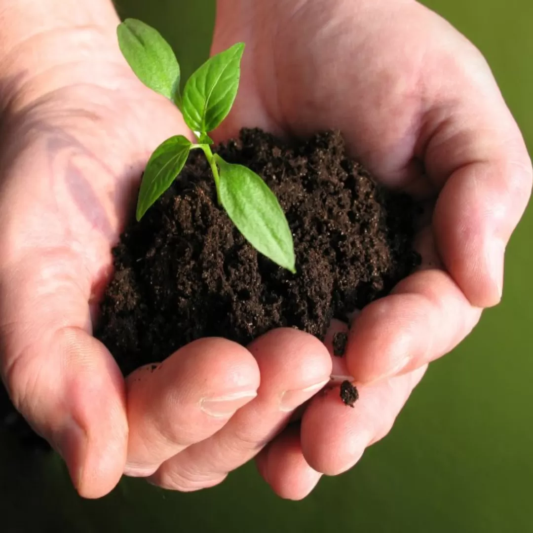 EcoPoly Solutions: Making Your Plastics Sustainable!